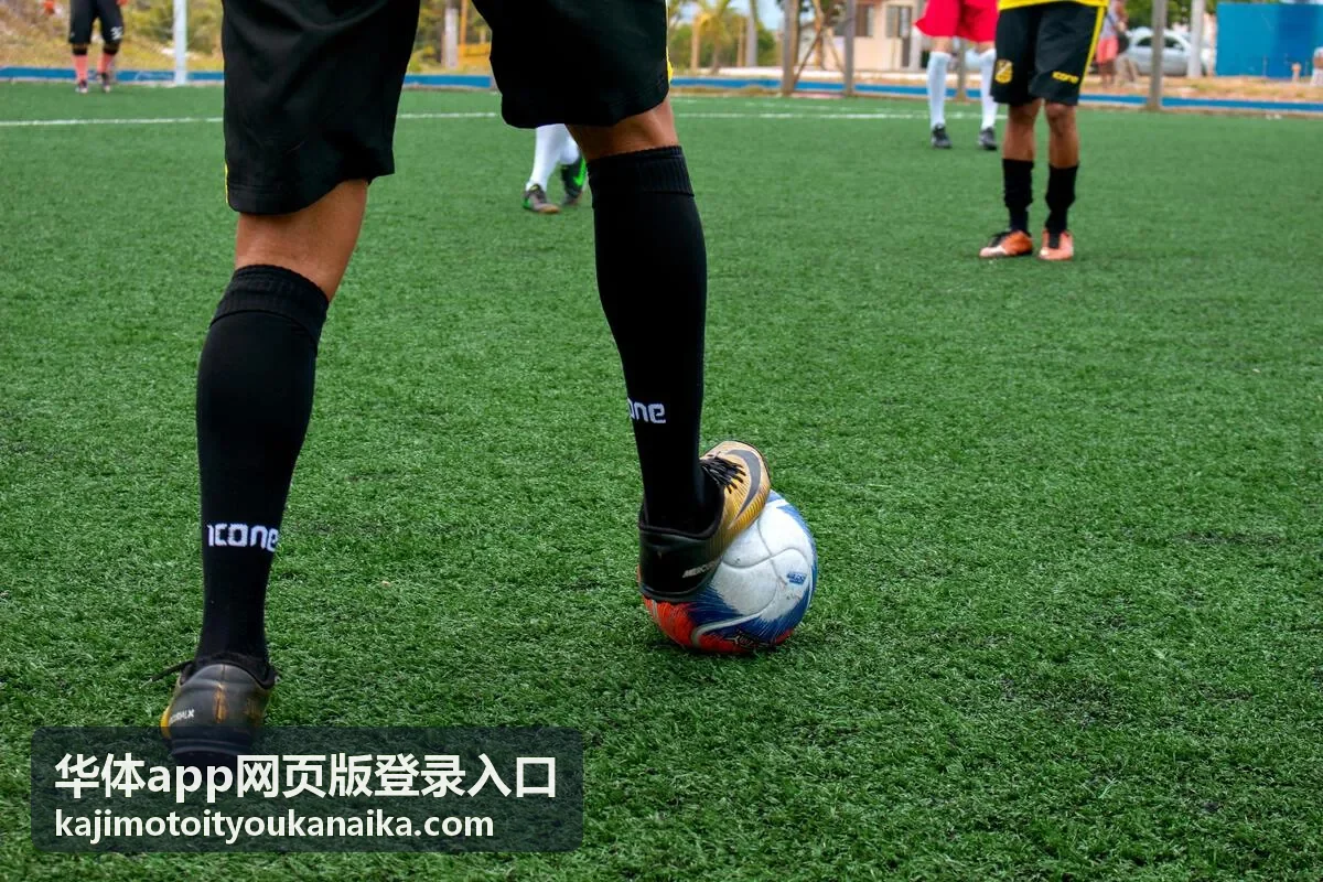华体app网页版登录入口操作流程图示