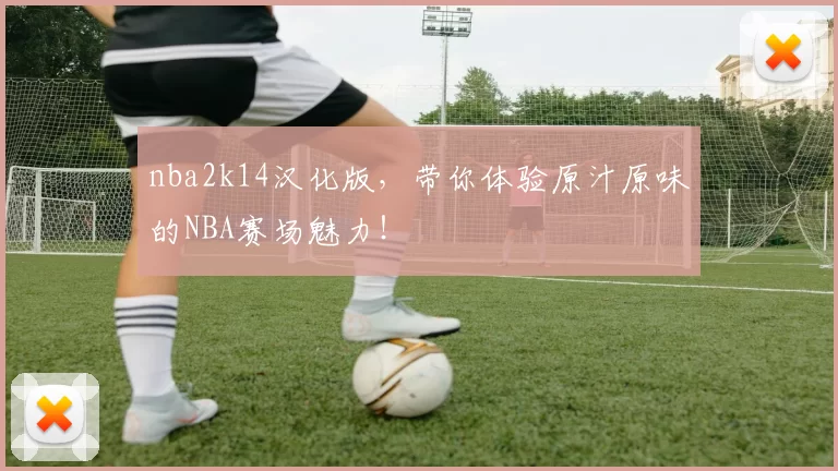 nba2k14汉化版,带你体验原汁原味的NBA赛场魅力!