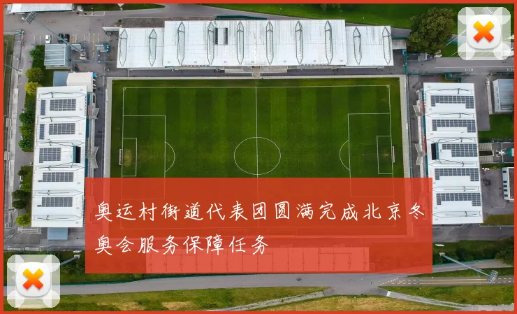 奥运村街道代表团圆满完成北京冬奥会服务保障任务