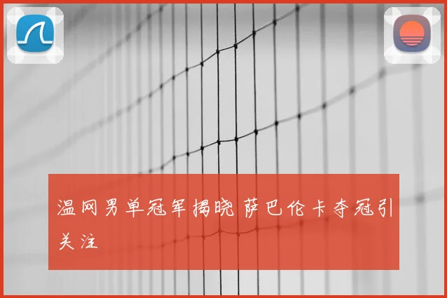 温网男单冠军揭晓 萨巴伦卡夺冠引关注
