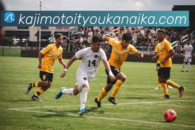 App Interface Preview